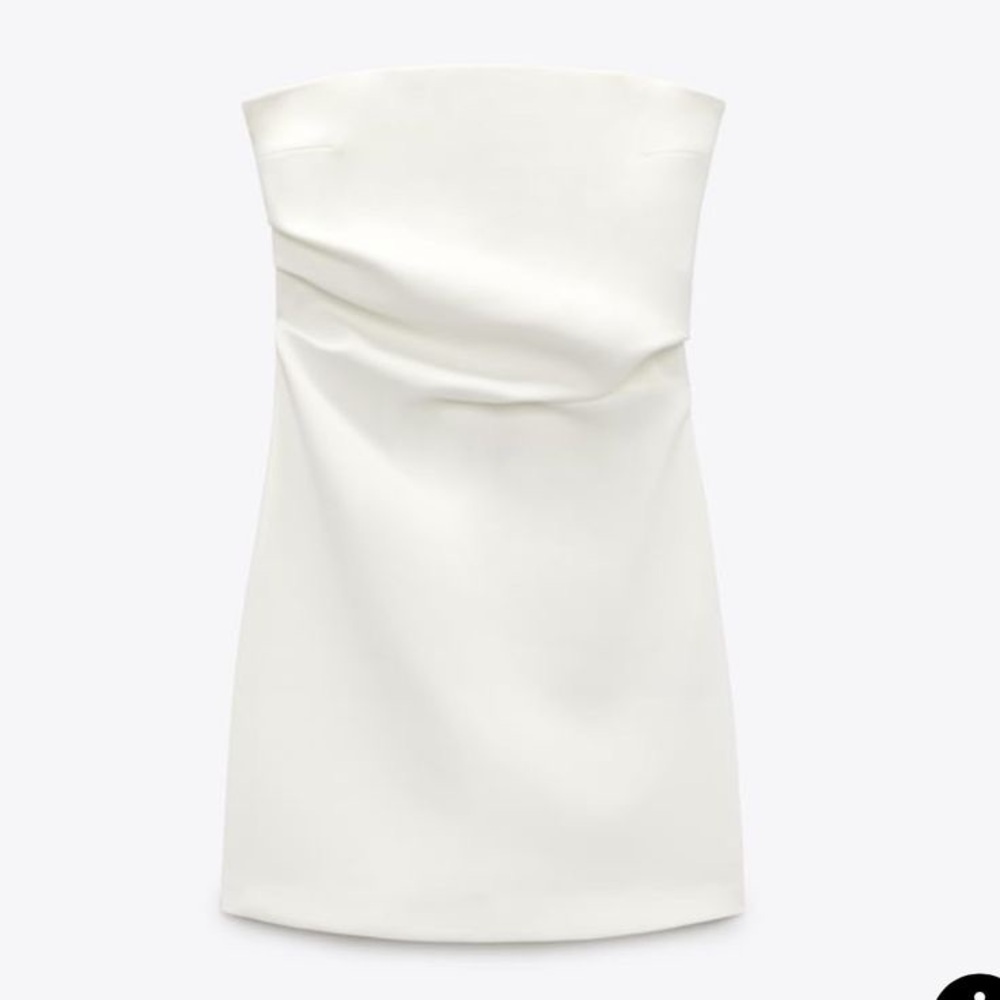 ZARA Mini Dress